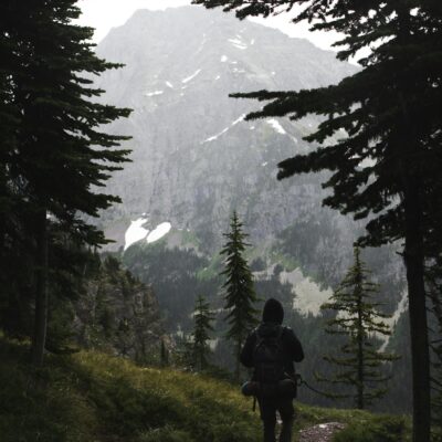 Back view of anonymous traveler in warm clothes and backpack walking on narrow alley between lush coniferous trees growing in forest in mountainous valley